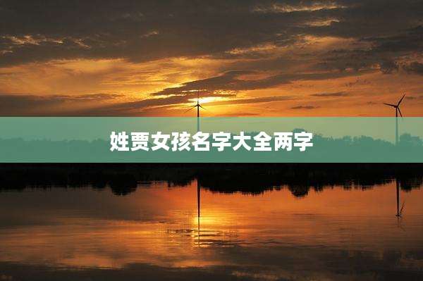 姓贾女孩名字大全两字