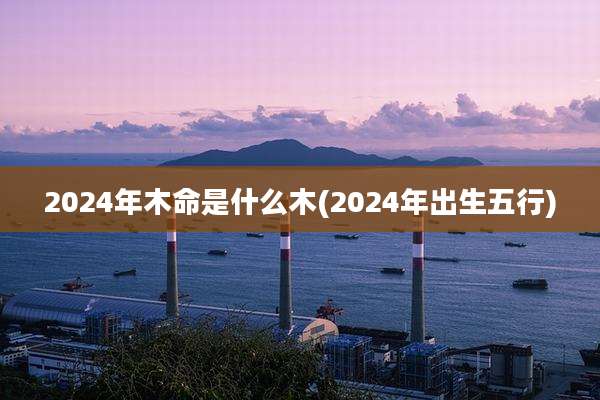 2024年木命是什么木(2024年出生五行)