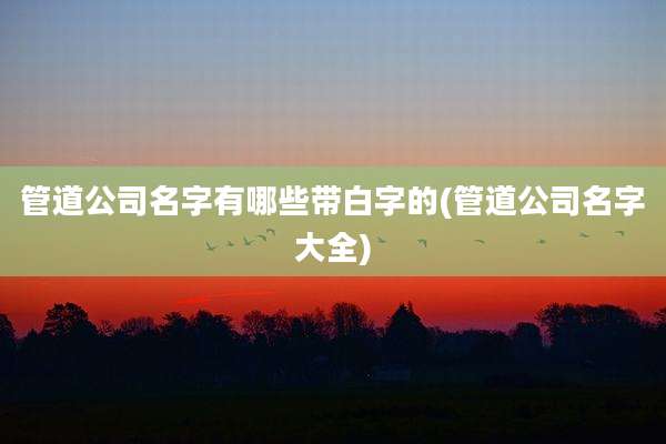 管道公司名字有哪些带白字的(管道公司名字大全)