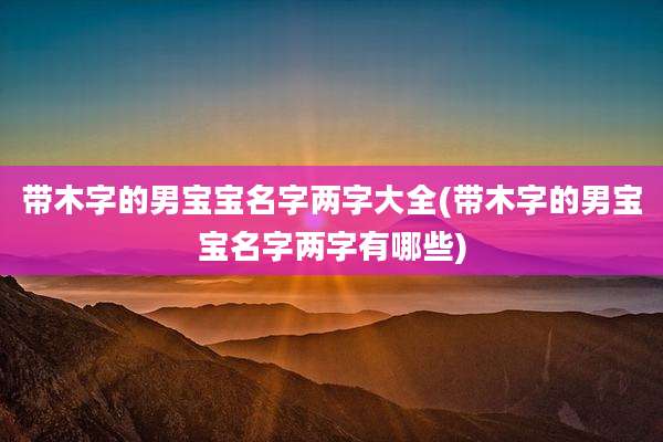 带木字的男宝宝名字两字大全(带木字的男宝宝名字两字有哪些)