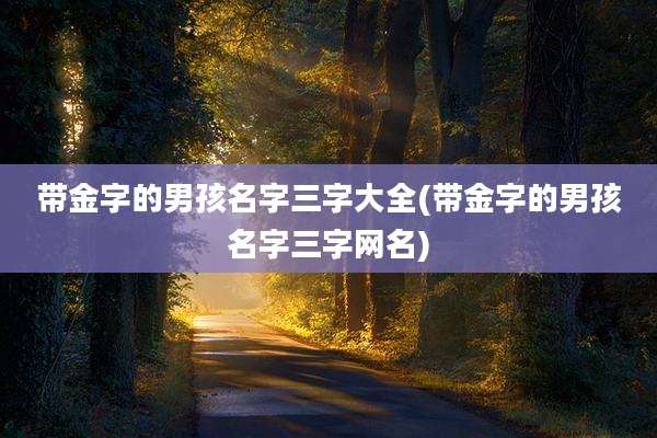 带金字的男孩名字三字大全(带金字的男孩名字三字网名)