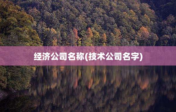 经济公司名称(技术公司名字)