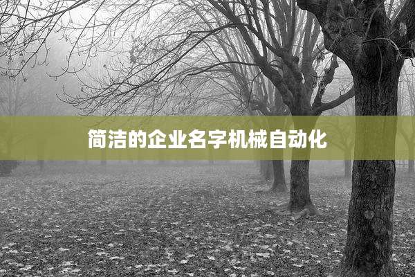 简洁的企业名字机械自动化