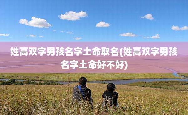 姓高双字男孩名字土命取名(姓高双字男孩名字土命好不好)