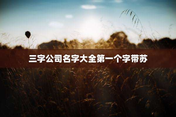 三字公司名字大全第一个字带苏