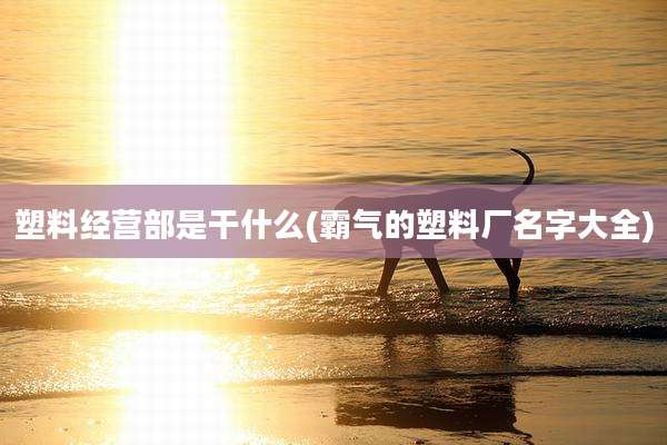 塑料经营部是干什么(霸气的塑料厂名字大全)