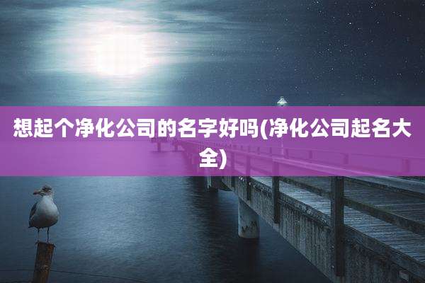 想起个净化公司的名字好吗(净化公司起名大全)