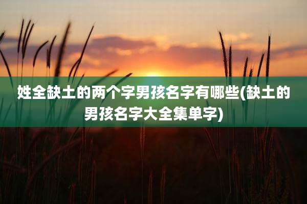 姓全缺土的两个字男孩名字有哪些(缺土的男孩名字大全集单字)