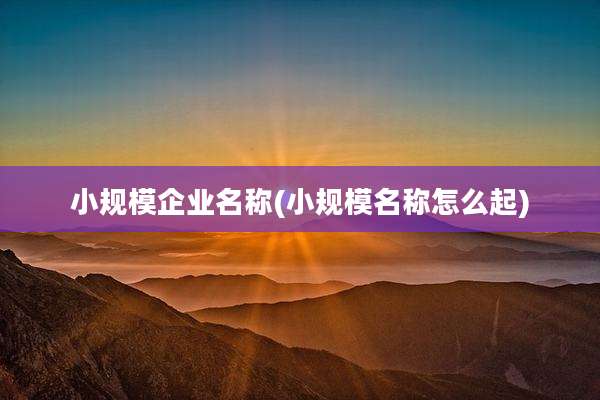 小规模企业名称(小规模名称怎么起)