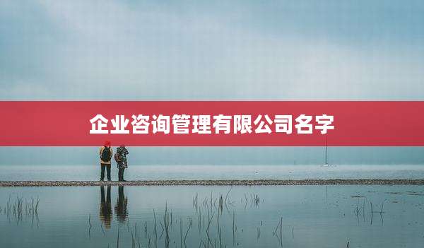 企业咨询管理有限公司名字