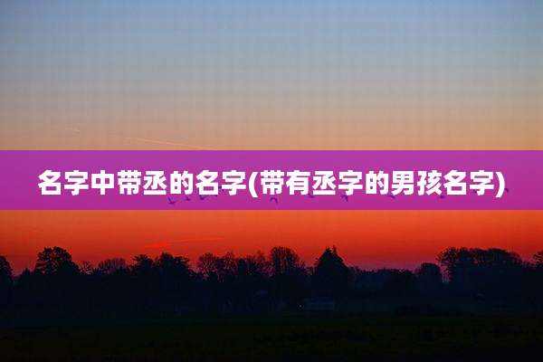 名字中带丞的名字(带有丞字的男孩名字)