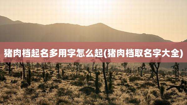 猪肉档起名多用字怎么起(猪肉档取名字大全)