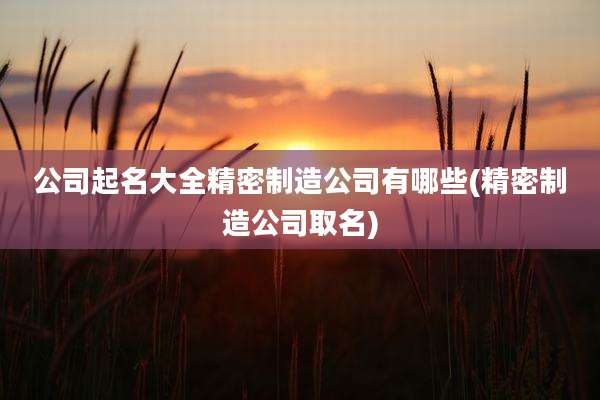 公司起名大全精密制造公司有哪些(精密制造公司取名)