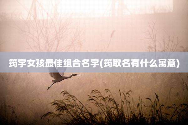 筠字女孩最佳组合名字(筠取名有什么寓意)