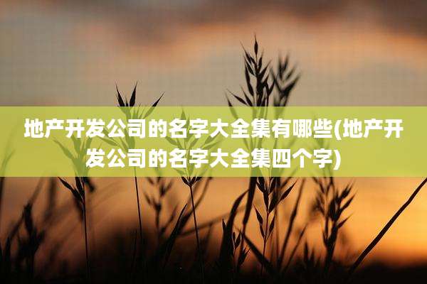 地产开发公司的名字大全集有哪些(地产开发公司的名字大全集四个字)