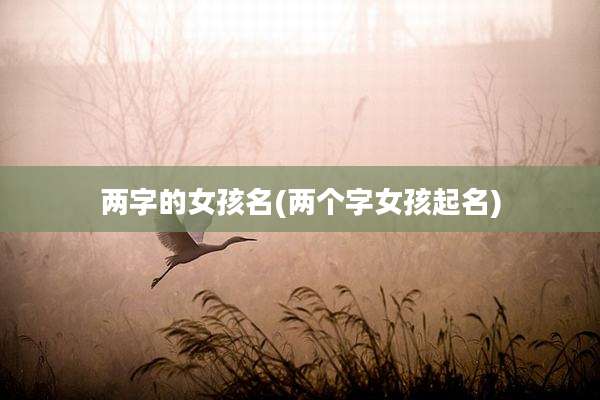 两字的女孩名(两个字女孩起名)
