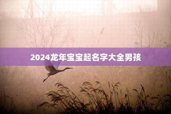 2024龙年宝宝起名字大全男孩