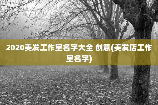 2020美发工作室名字大全 创意(美发店工作室名字)