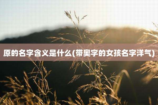 原的名字含义是什么(带奥字的女孩名字洋气)