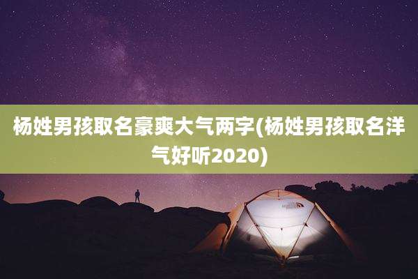 杨姓男孩取名豪爽大气两字(杨姓男孩取名洋气好听2020)