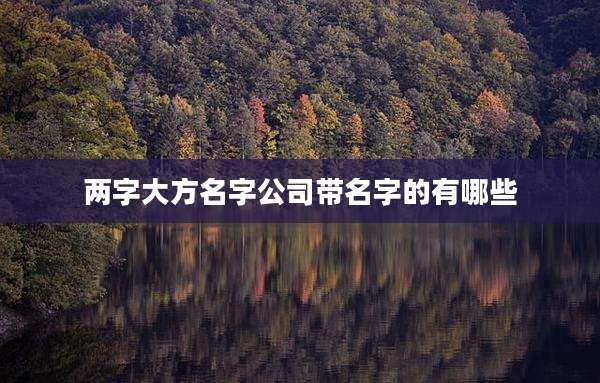 两字大方名字公司带名字的有哪些