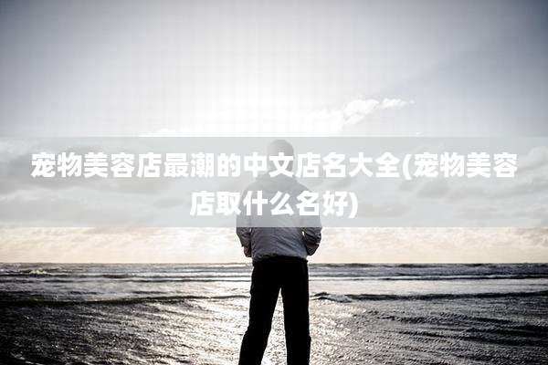 宠物美容店最潮的中文店名大全(宠物美容店取什么名好)