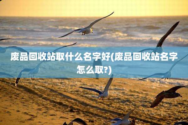 废品回收站取什么名字好(废品回收站名字怎么取?)