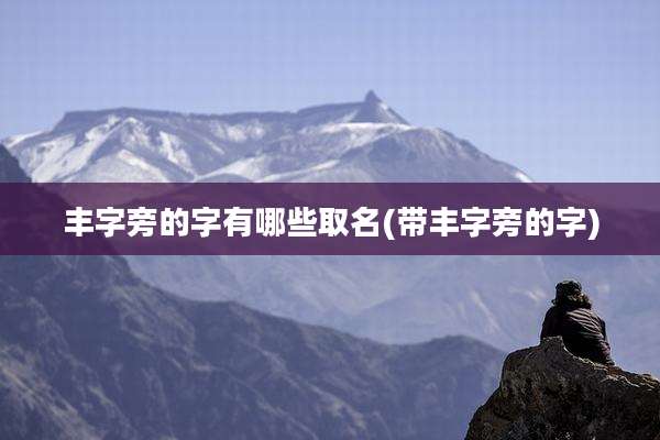 丰字旁的字有哪些取名(带丰字旁的字)