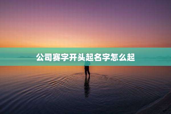 公司赛字开头起名字怎么起