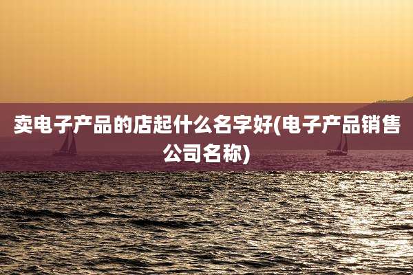 卖电子产品的店起什么名字好(电子产品销售公司名称)