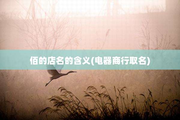 佰的店名的含义(电器商行取名)