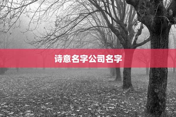 诗意名字公司名字