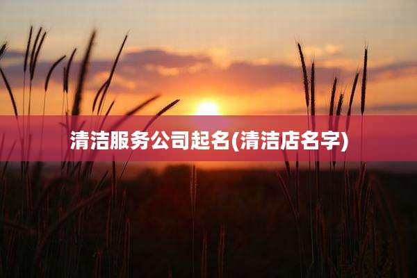 清洁服务公司起名(清洁店名字)