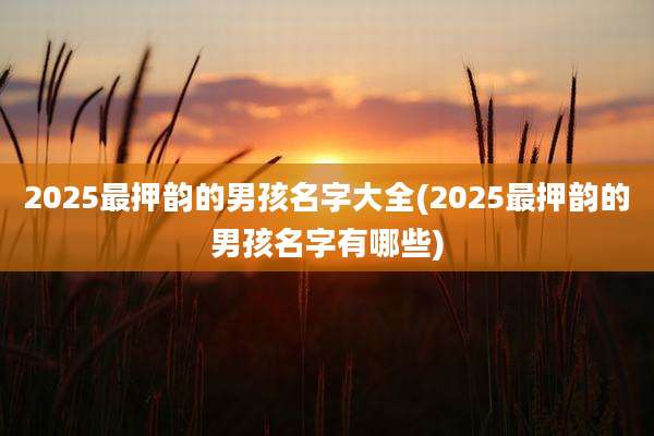 2025最押韵的男孩名字大全(2025最押韵的男孩名字有哪些)