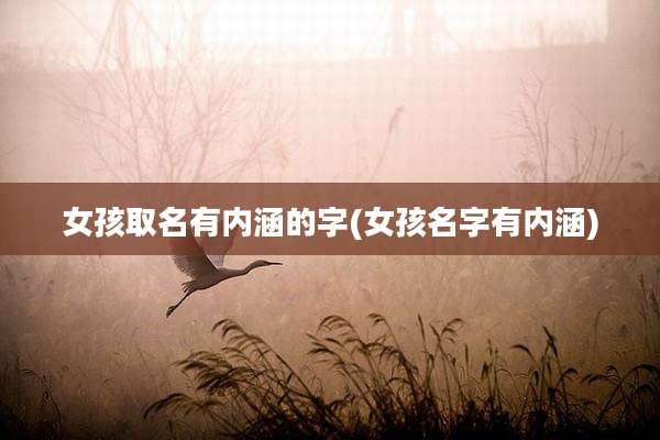 女孩取名有内涵的字(女孩名字有内涵)