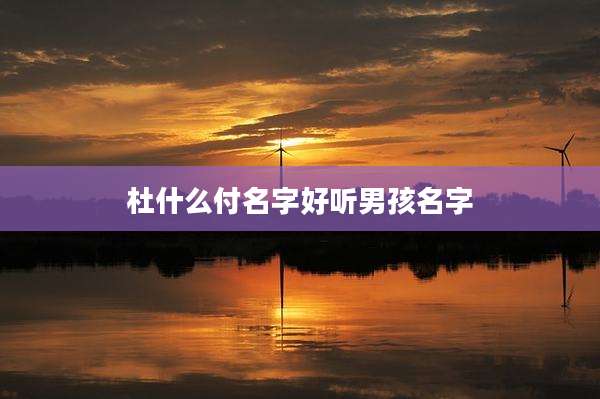 杜什么付名字好听男孩名字