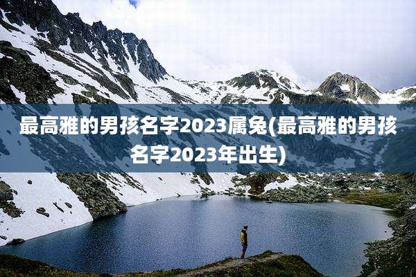 最高雅的男孩名字2023属兔(最高雅的男孩名字2023年出生)
