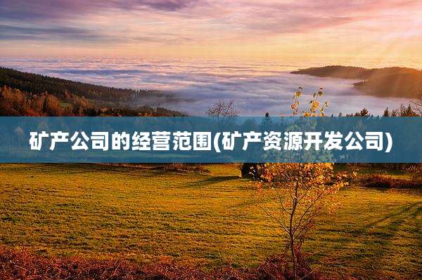 矿产公司的经营范围(矿产资源开发公司)