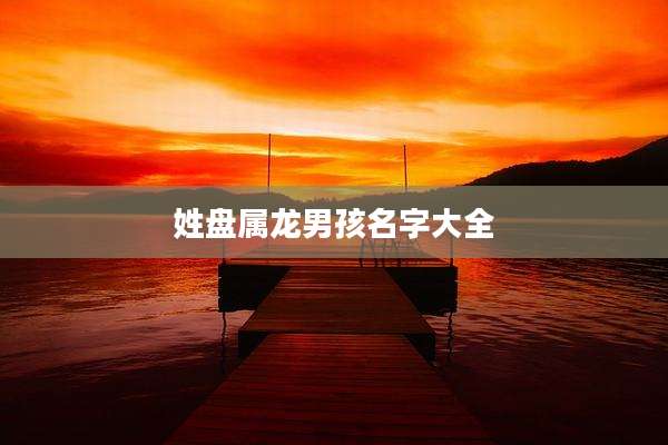 姓盘属龙男孩名字大全