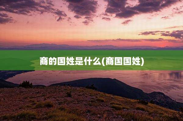商的国姓是什么(商国国姓)