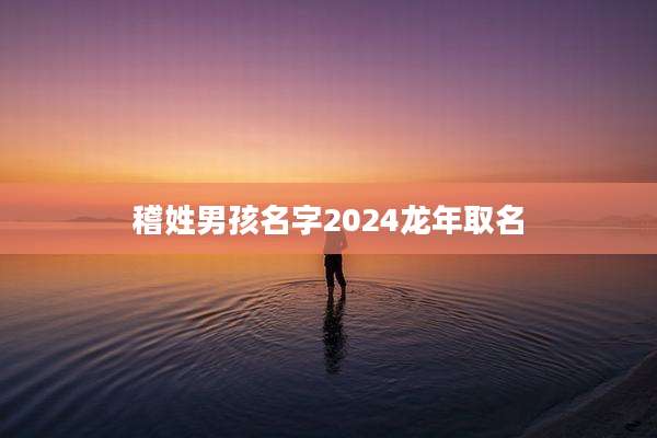 稽姓男孩名字2024龙年取名