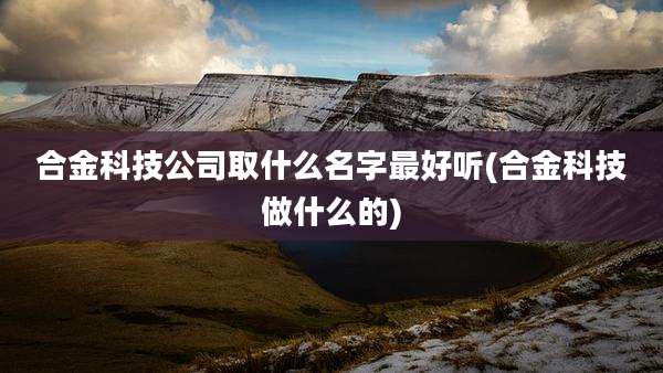 合金科技公司取什么名字最好听(合金科技做什么的)