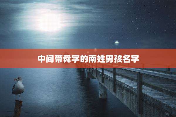 中间带舜字的南姓男孩名字
