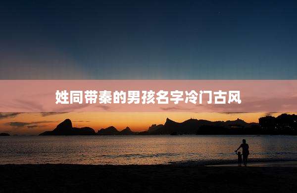 姓同带秦的男孩名字冷门古风
