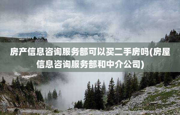 房产信息咨询服务部可以买二手房吗(房屋信息咨询服务部和中介公司)