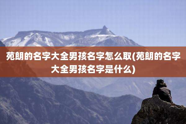 苑朗的名字大全男孩名字怎么取(苑朗的名字大全男孩名字是什么)