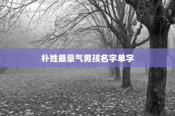 朴姓最豪气男孩名字单字