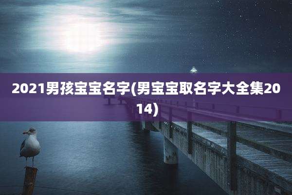2021男孩宝宝名字(男宝宝取名字大全集2014)