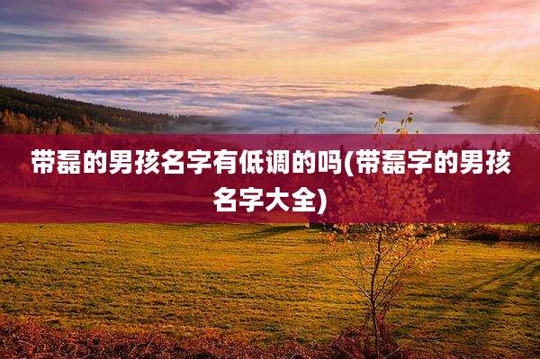 带磊的男孩名字有低调的吗(带磊字的男孩名字大全)