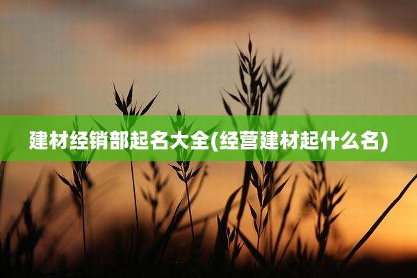 建材经销部起名大全(经营建材起什么名)